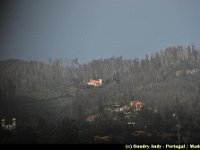 Portugal - Madere - Funchal - 007